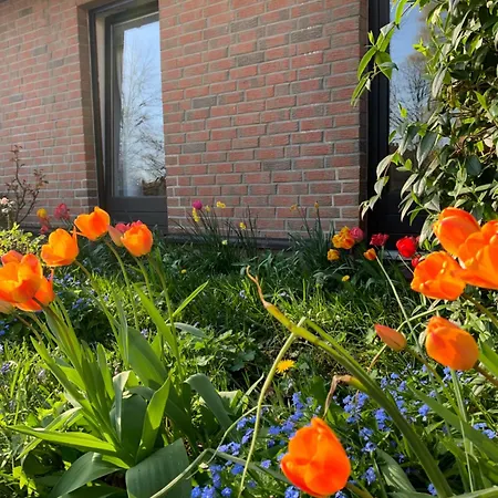 Zwei Und Luxus Mit Garten *